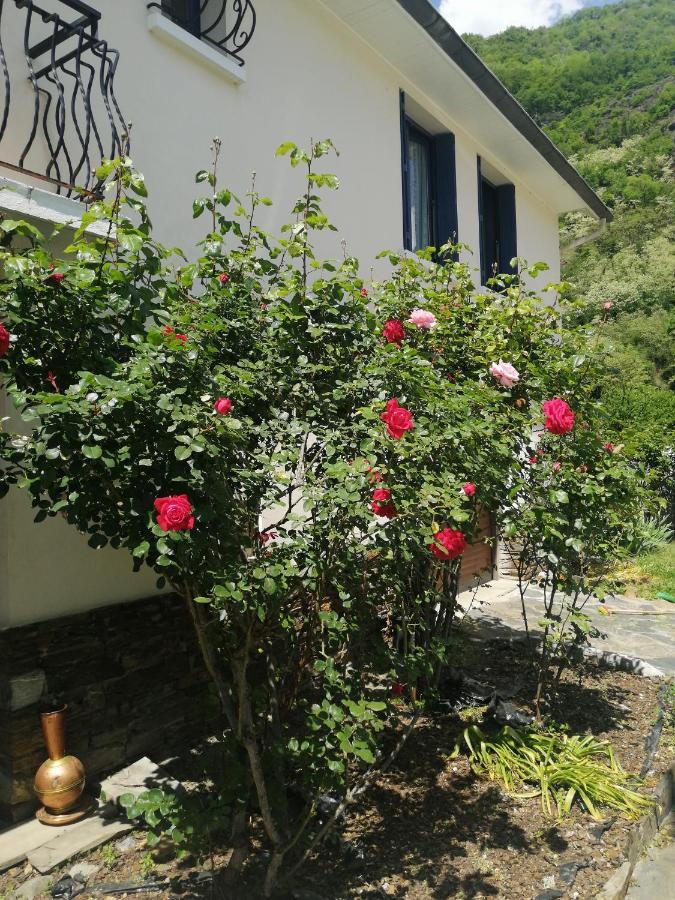 Les Rosiers Acomodação com café da manhã Bagnères-de-Luchon Exterior foto